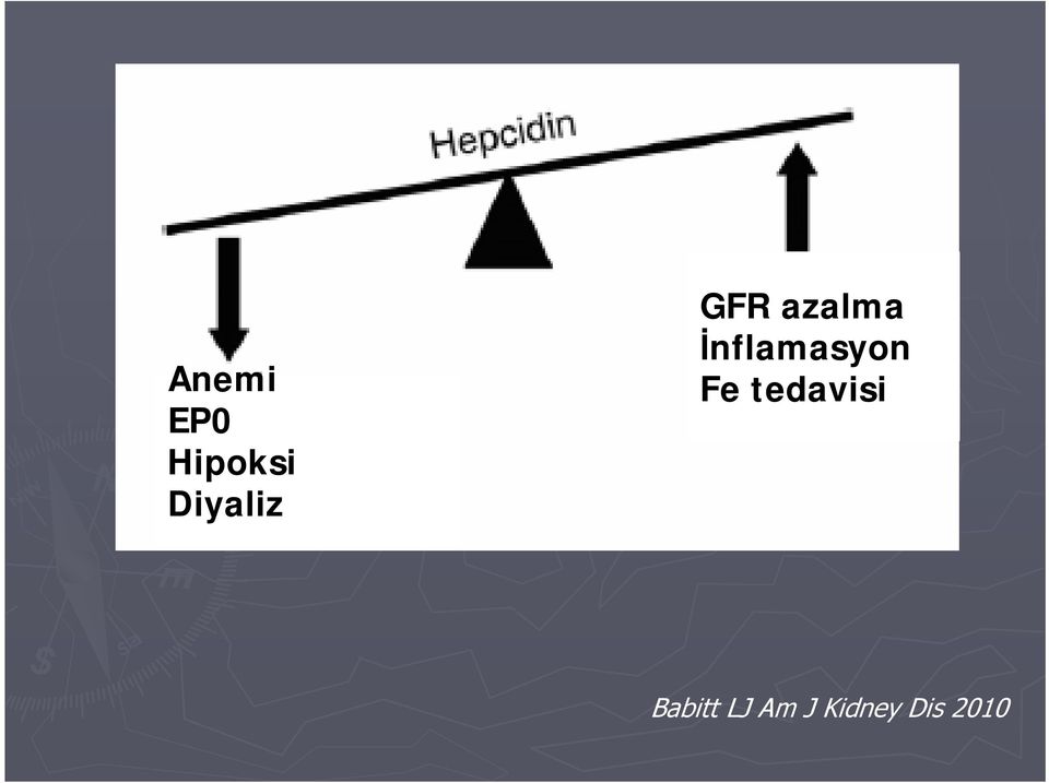 İnflamasyon Fe