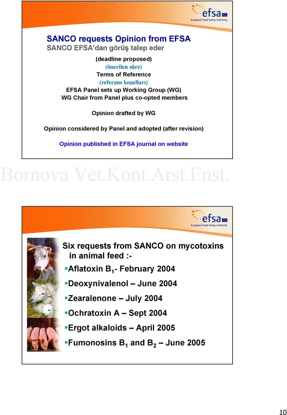 adopted (after revision) Opinion published in EFSA journal on website Six requests from SANCO on mycotoxins in animal feed :-: Aflatoxin B 1