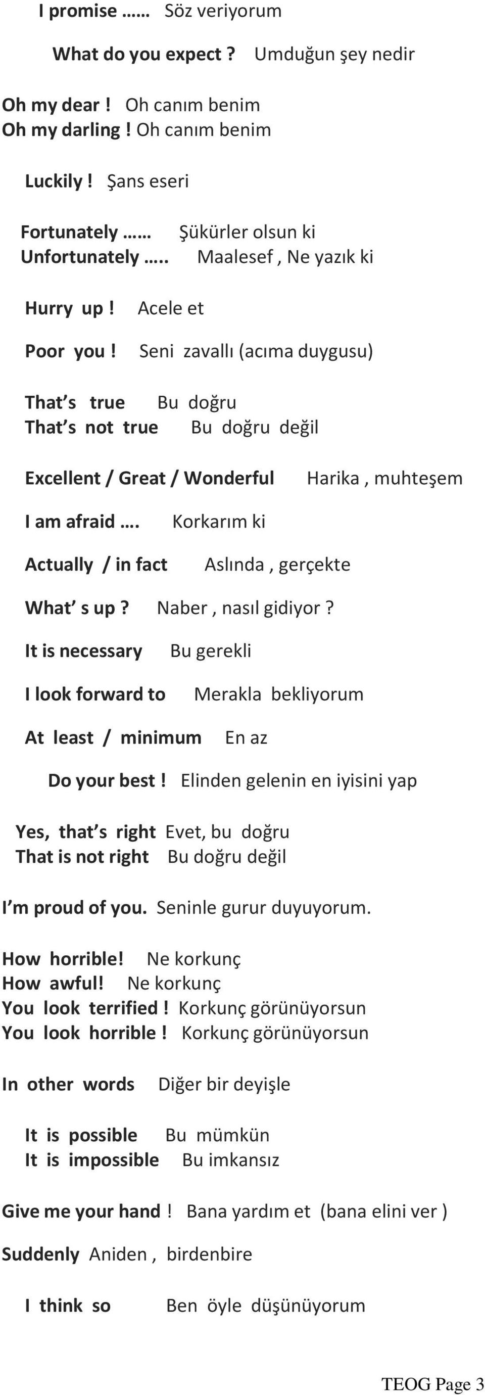 Acele et Seni zavallı (acıma duygusu) That s true Bu doğru That s not true Bu doğru değil Excellent / Great / Wonderful Harika, muhteşem I am afraid.