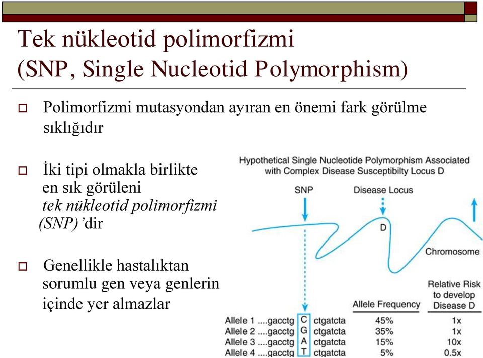 tipi olmakla birlikte en sık görüleni tek nükleotid polimorfizmi