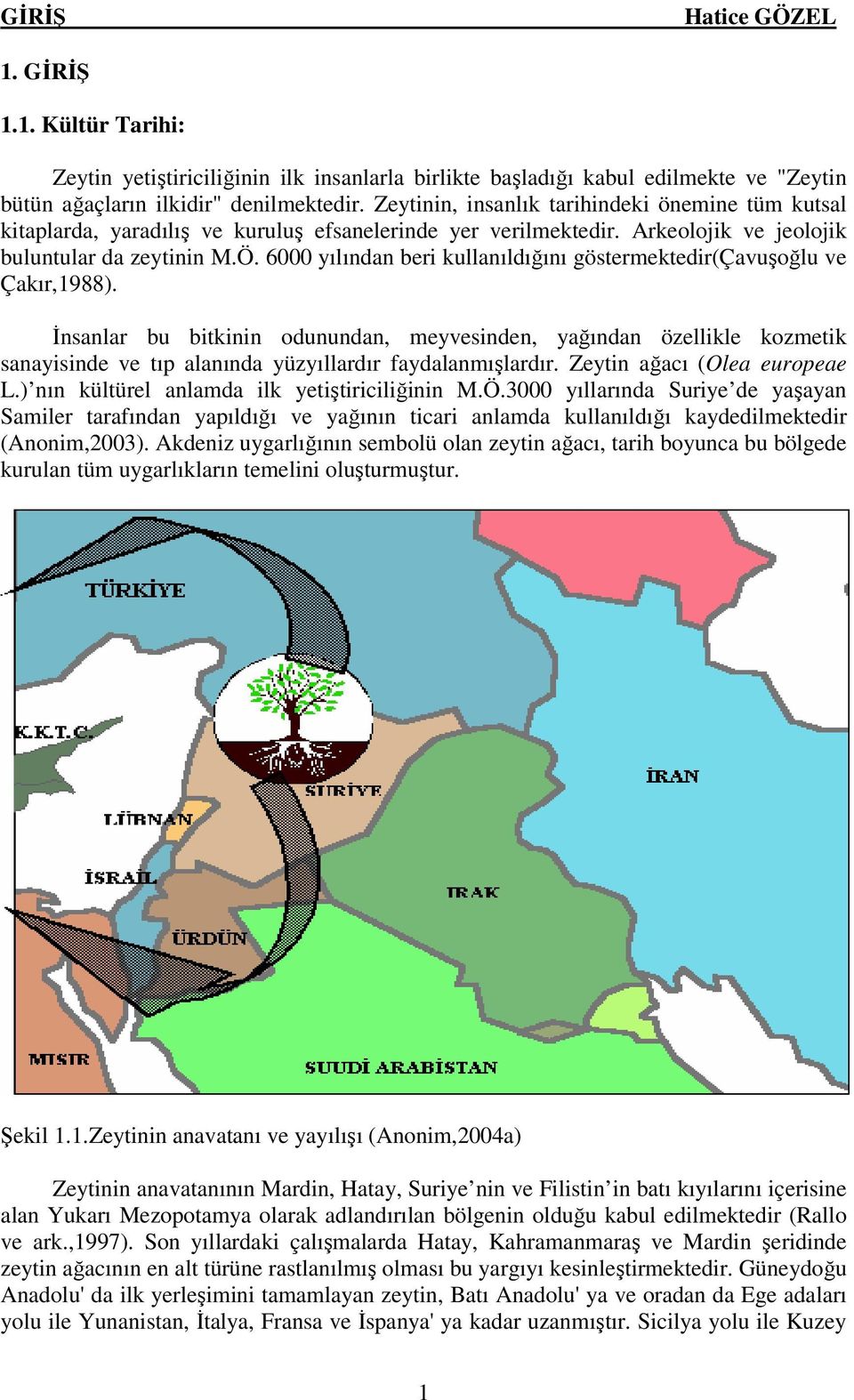 6000 yılından beri kullanıldığını göstermektedir(çavuşoğlu ve Çakır,1988).