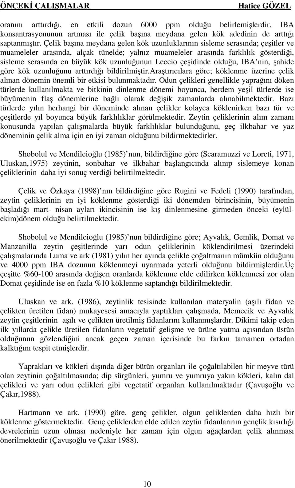 uzunluğunun Leccio çeşidinde olduğu, IBA nın, şahide göre kök uzunluğunu arttırdığı bildirilmiştir.araştırıcılara göre; köklenme üzerine çelik alınan dönemin önemli bir etkisi bulunmaktadır.