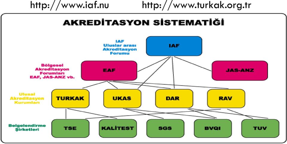 turkak.org.