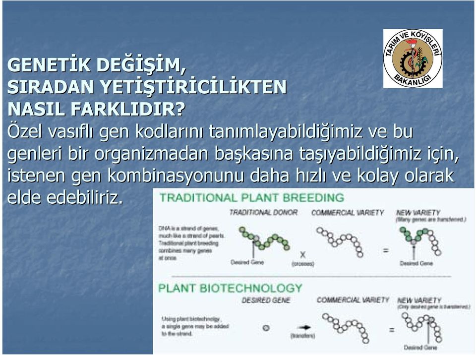 genleri bir organizmadan başkas kasına taşı şıyabildiğimiz imiz için, i