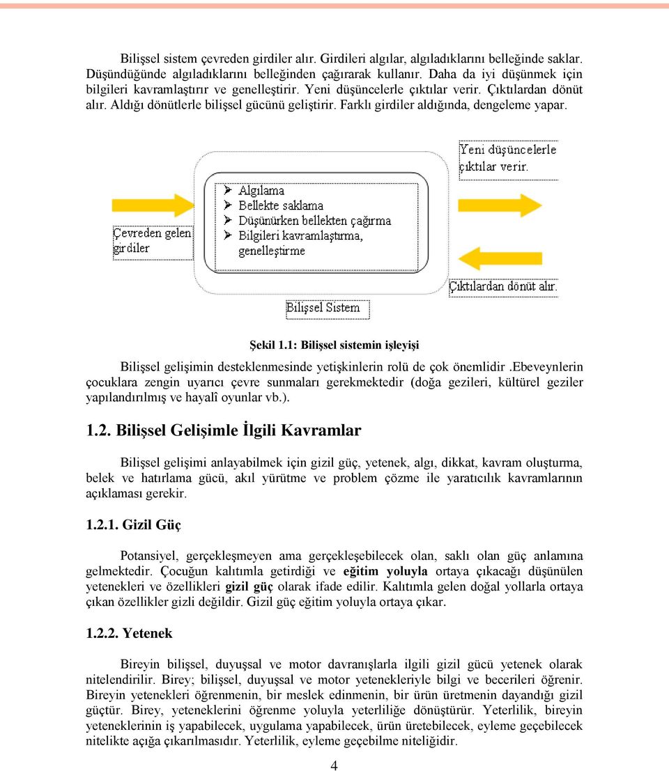 Farklı girdiler aldığında, dengeleme yapar. Şekil 1.1: Bilişsel sistemin işleyişi Bilişsel gelişimin desteklenmesinde yetişkinlerin rolü de çok önemlidir.