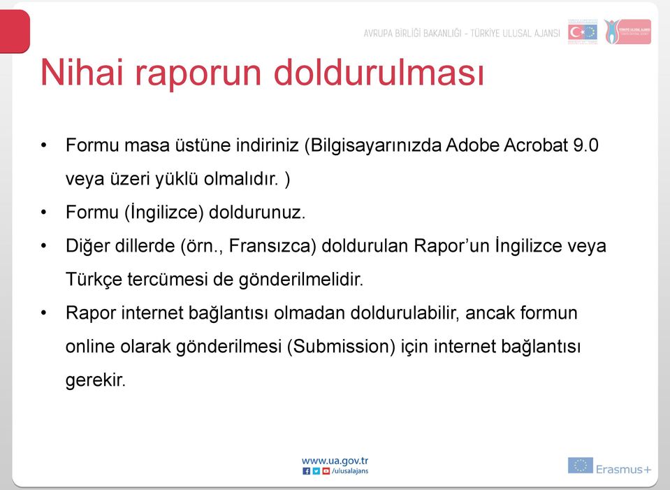 , Fransızca) doldurulan Rapor un İngilizce veya Türkçe tercümesi de gönderilmelidir.