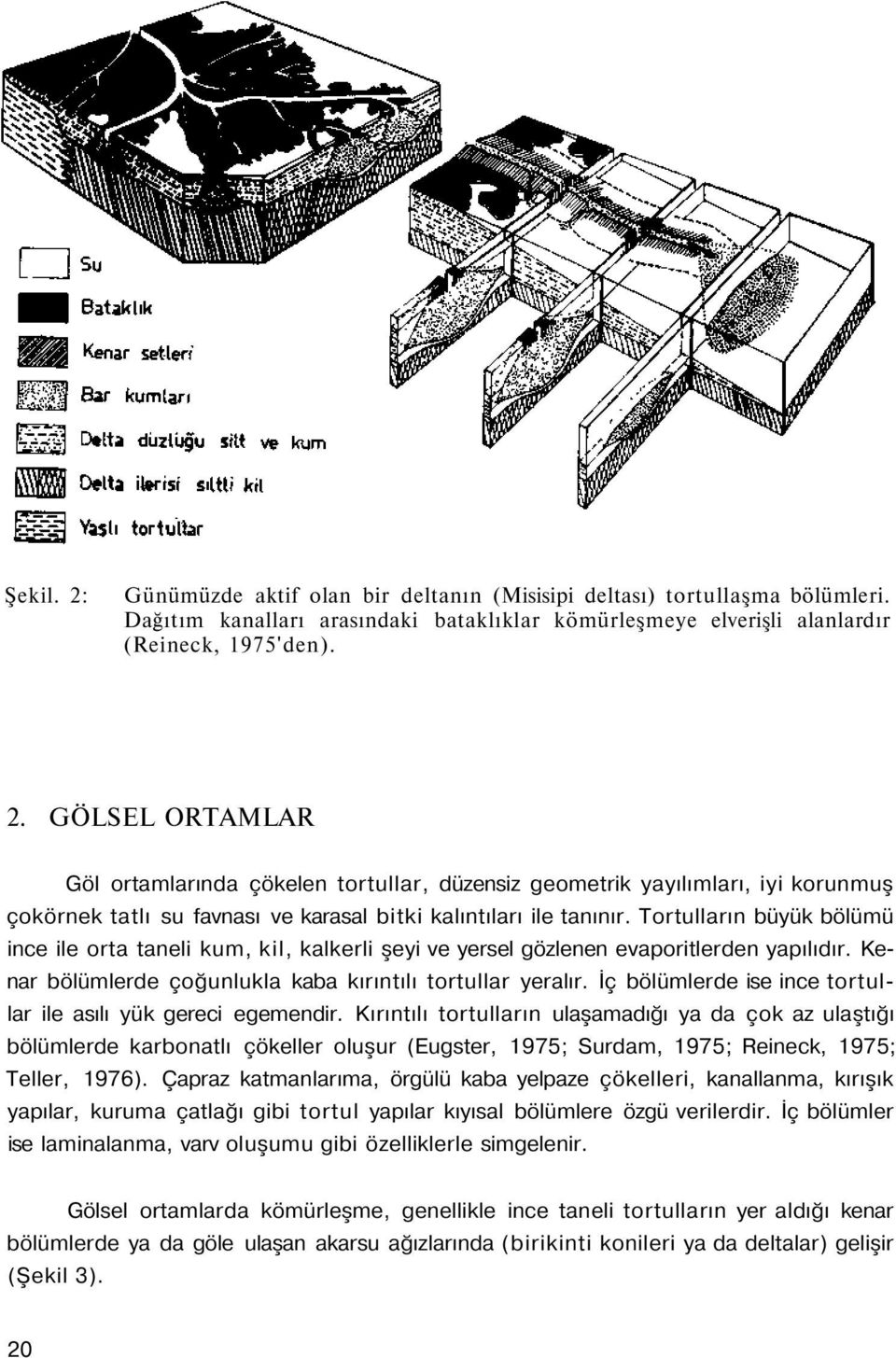 İç bölümlerde ise ince tortullar ile asılı yük gereci egemendir.