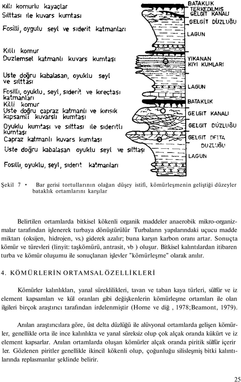 Sonuçta kömür ve türevleri (linyit: taşkömürü, antrasit, vb ) oluşur. Bitkisel kalıntılardan itibaren turba ve kömür oluşumu ile sonuçlanan işlevler "kömürleşme" olarak anılır. 4.