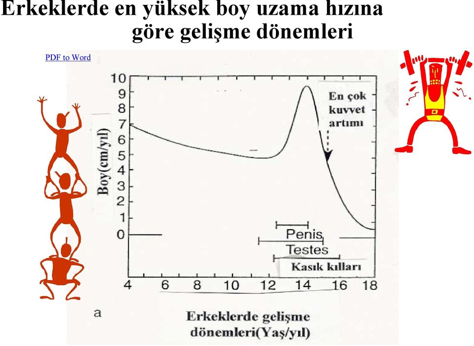 hızına göre