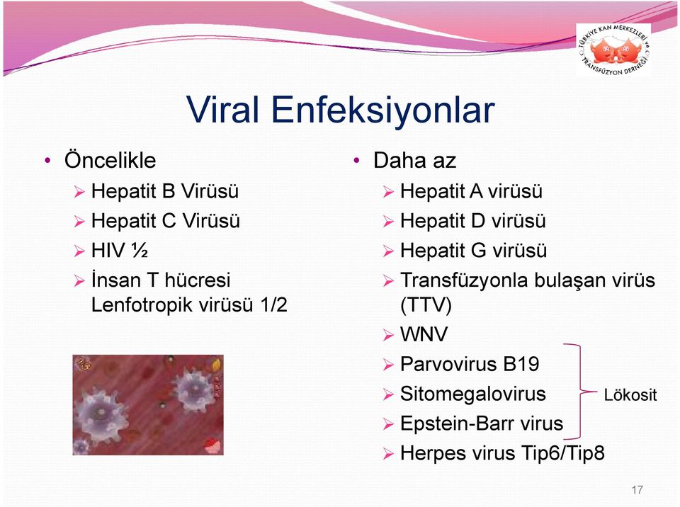 D virüsü Hepatit G virüsü Transfüzyonla bulaşan virüs (TTV) WNV