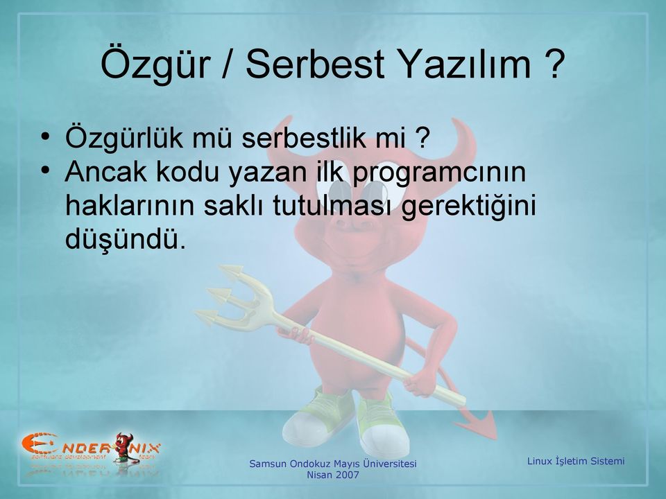 Ancak kodu yazan ilk programcının