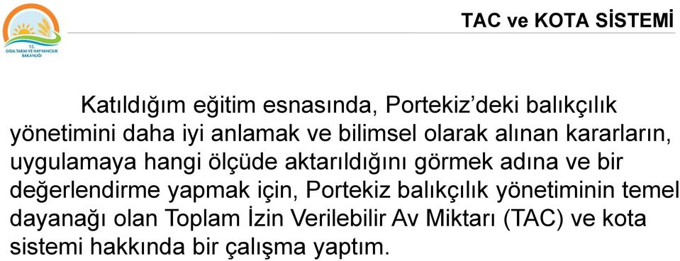 görmek adına ve bir değerlendirme yapmak için, Portekiz balıkçılık yönetiminin temel