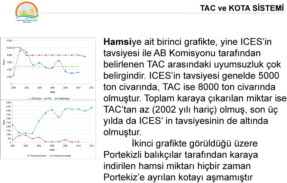 Toplam karaya çıkarılan miktar ise TAC tan az (2002 yılı hariç) olmuģ, son üç yılda da ICES in tavsiyesinin de altında olmuģtur.