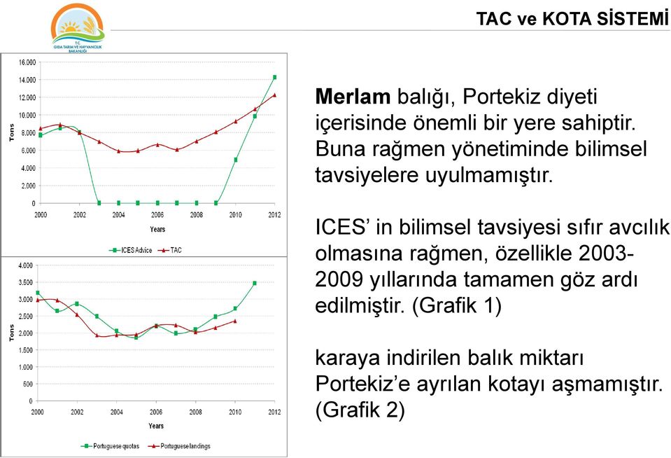 ICES in bilimsel tavsiyesi sıfır avcılık olmasına rağmen, özellikle 2003-2009 yıllarında