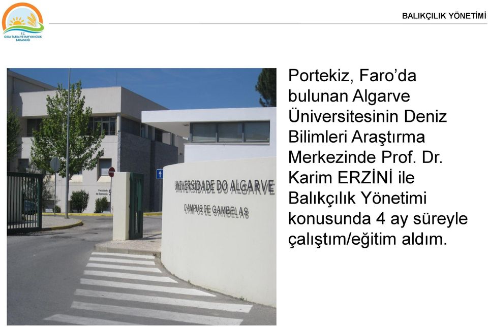 Merkezinde Prof. Dr.