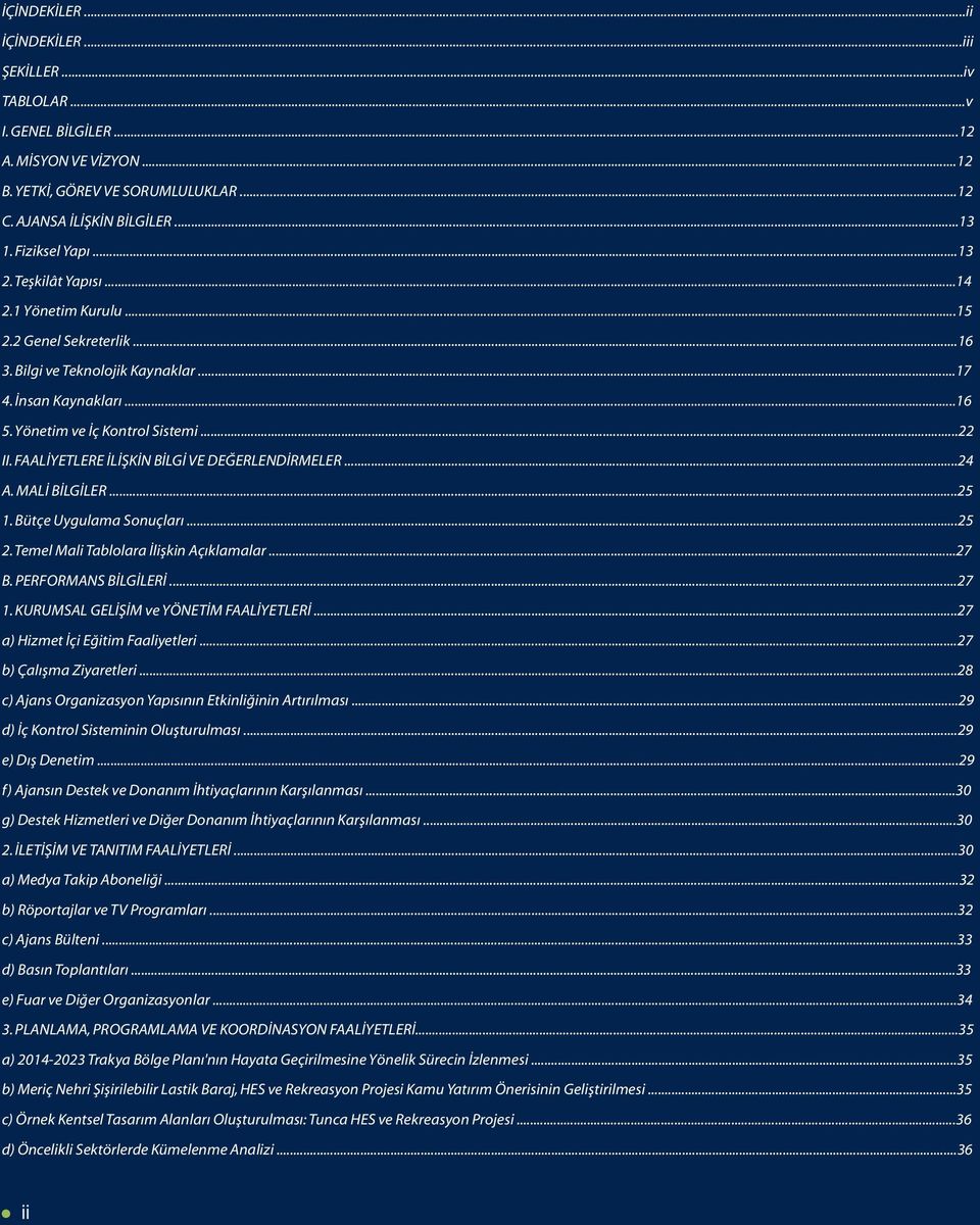 FAALİYETLERE İLİŞKİN BİLGİ VE DEĞERLENDİRMELER...24 A. MALİ BİLGİLER...25 1. Bütçe Uygulama Sonuçları...25 2. Temel Mali Tablolara İlişkin Açıklamalar...27 B. PERFORMANS BİLGİLERİ...27 1.