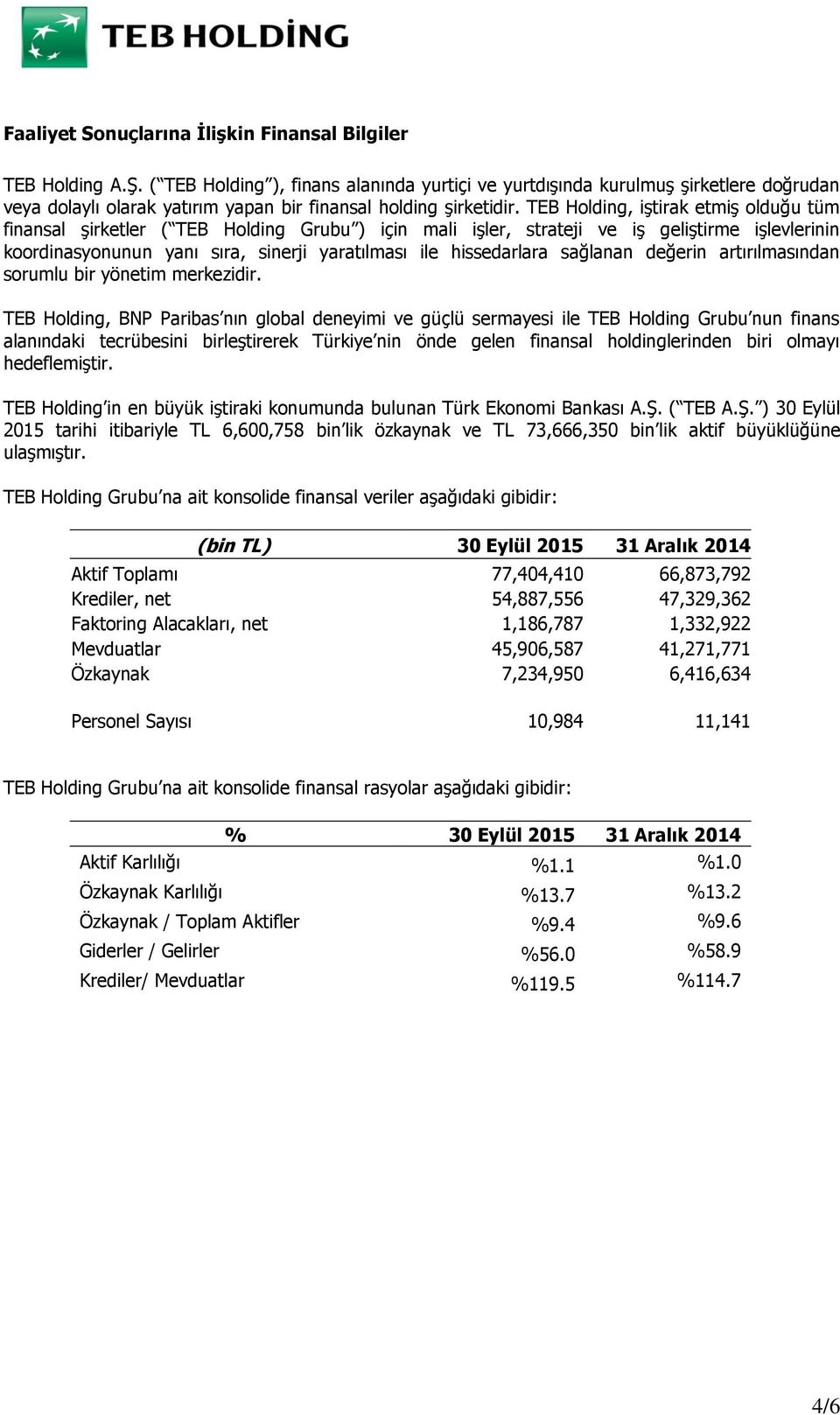 TEB Holding, iştirak etmiş olduğu tüm finansal şirketler ( TEB Holding Grubu ) için mali işler, strateji ve iş geliştirme işlevlerinin koordinasyonunun yanı sıra, sinerji yaratılması ile hissedarlara