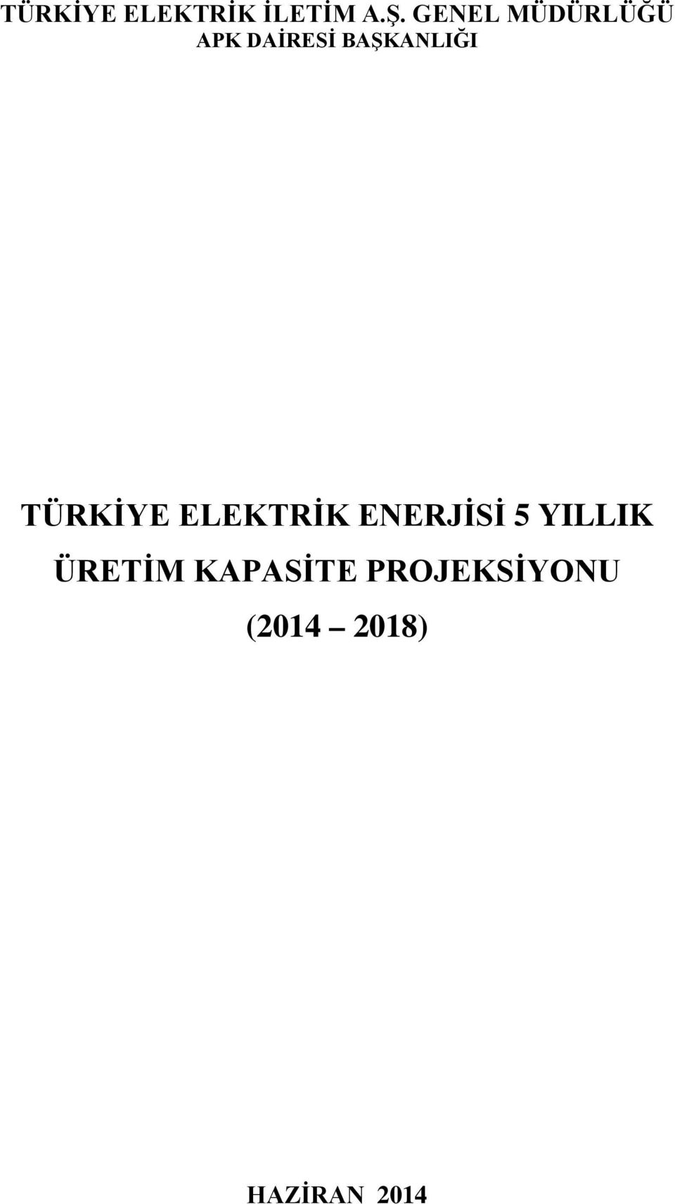 TÜRKİYE ELEKTRİK ENERJİSİ 5 YILLIK