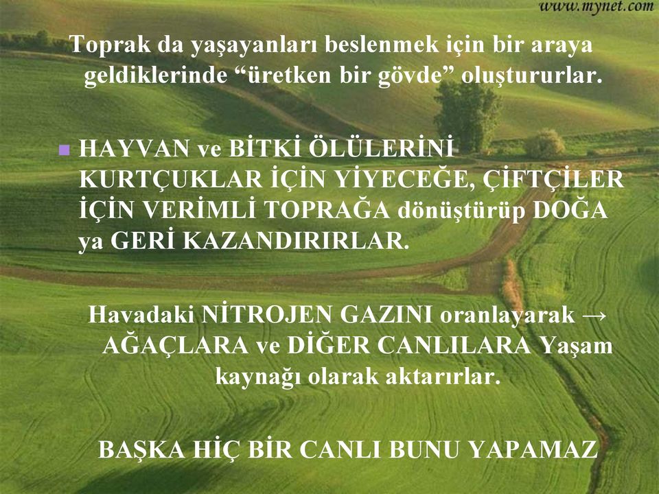 HAYVAN ve BİTKİ ÖLÜLERİNİ KURTÇUKLAR İÇİN YİYECEĞE, ÇİFTÇİLER İÇİN VERİMLİ TOPRAĞA