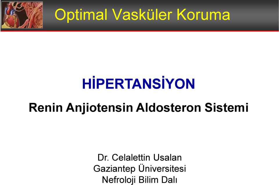 Aldosteron Sistemi Dr.