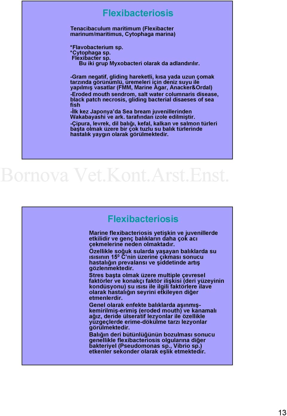 columnaris disease, black patch necrosis, gliding bacterial disaeses of sea fish -İlk kez Japonya da Sea bream juvenillerinden Wakabayashi ve ark. tarafından izole edilmiştir.