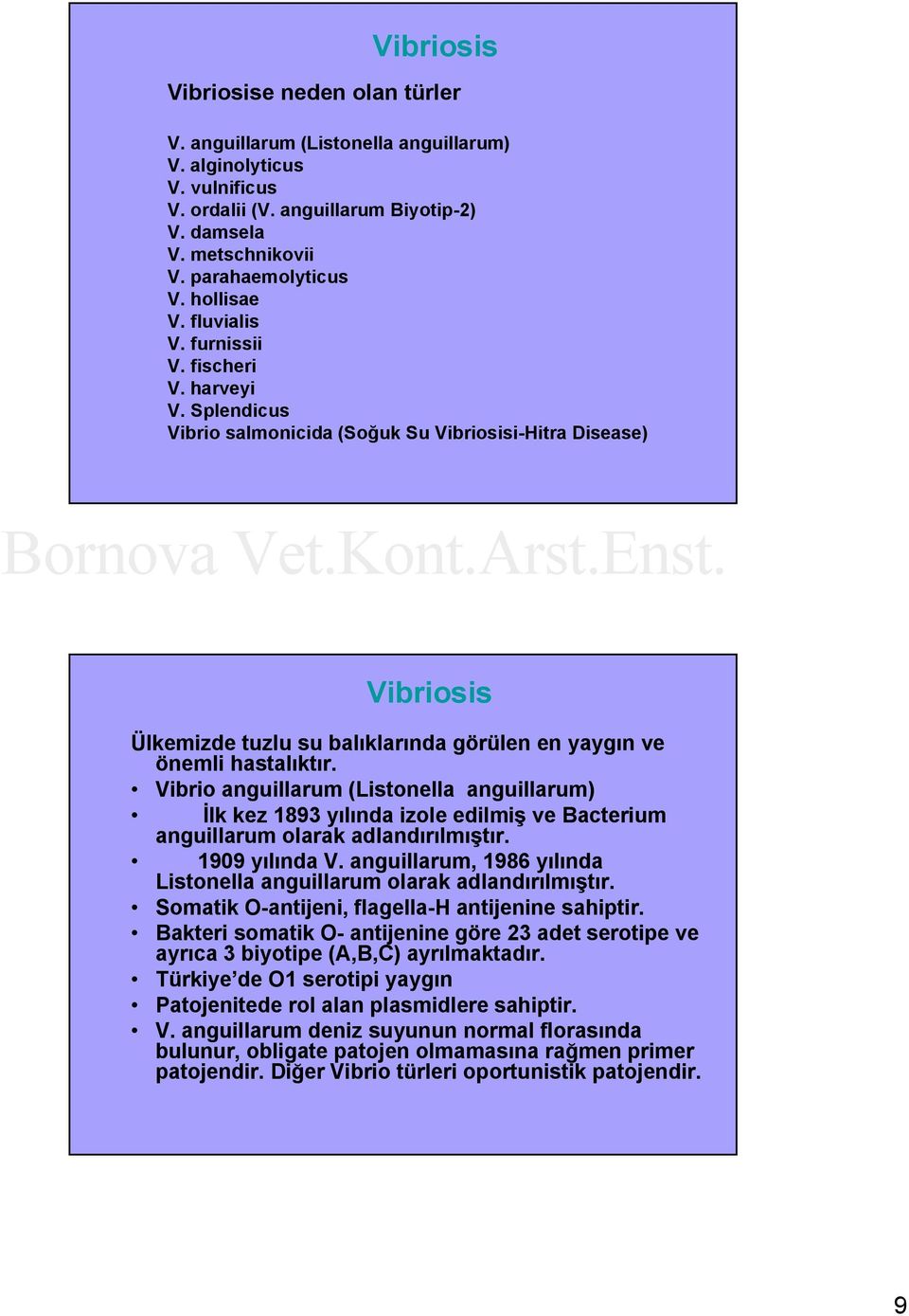 Splendicus Vibrio salmonicida (Soğuk Su Vibriosisi-Hitra Disease) Vibriosis Ülkemizde tuzlu su balıklarında görülen en yaygın ve önemli hastalıktır.