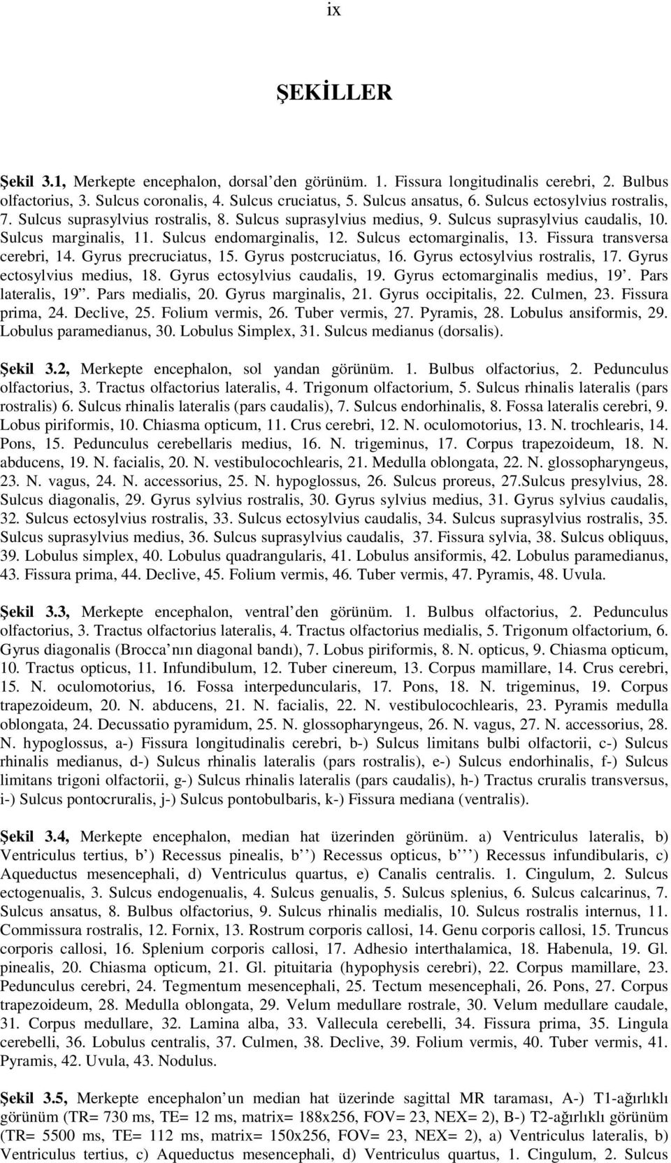 Sulcus ectomarginalis, 13. Fissura transversa cerebri, 14. Gyrus precruciatus, 15. Gyrus postcruciatus, 16. Gyrus ectosylvius rostralis, 17. Gyrus ectosylvius medius, 18.