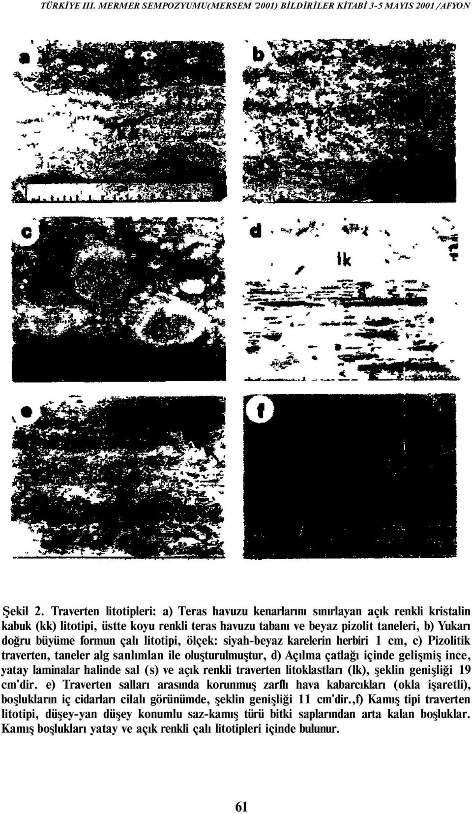 çalı litotipi, ölçek: siyah-beyaz karelerin herbiri 1 cm, c) Pizolitik traverten, taneler alg sanlımlan ile oluşturulmuştur, d) Açılma çatlağı içinde gelişmiş ince, yatay laminalar halinde sal (s) ve