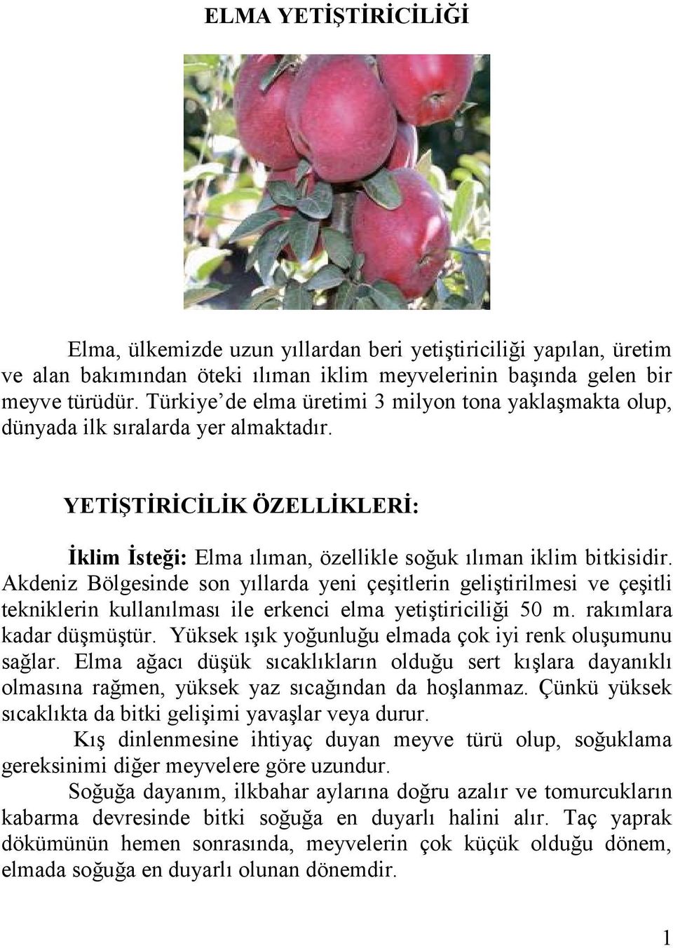 Akdeniz Bölgesinde son yıllarda yeni çeşitlerin geliştirilmesi ve çeşitli tekniklerin kullanılması ile erkenci elma yetiştiriciliği 50 m. rakımlara kadar düşmüştür.