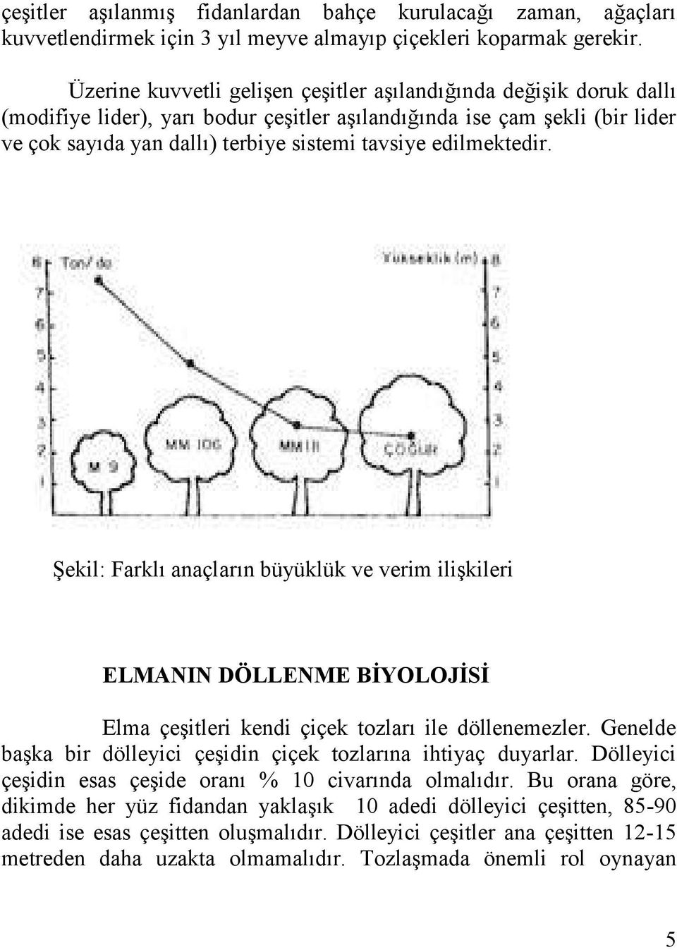 edilmektedir. Şekil: Farklı anaçların büyüklük ve verim ilişkileri ELMANIN DÖLLENME BĠYOLOJĠSĠ Elma çeşitleri kendi çiçek tozları ile döllenemezler.