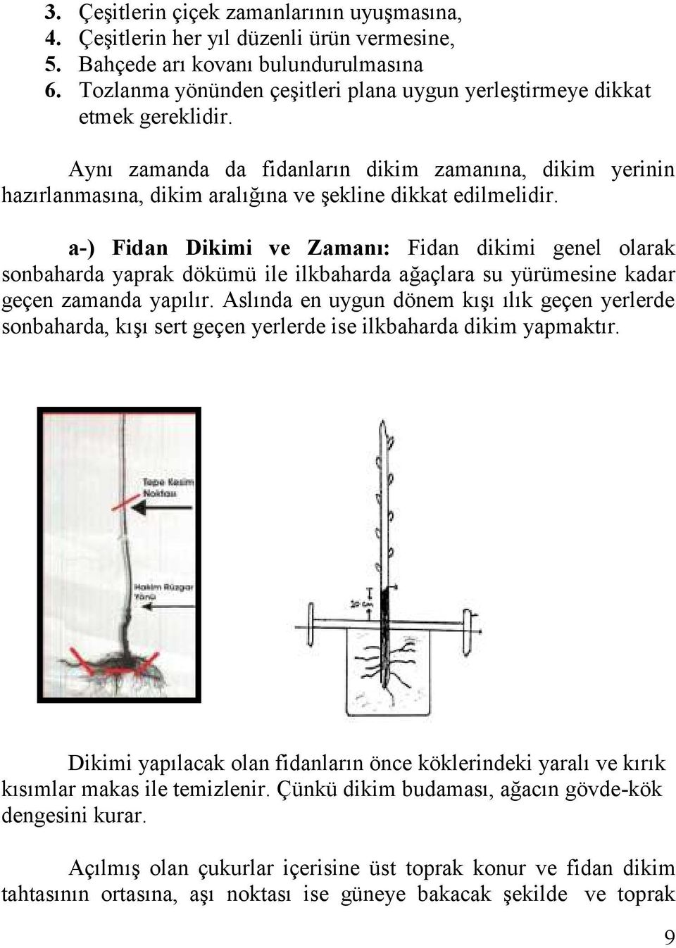 a-) Fidan Dikimi ve Zamanı: Fidan dikimi genel olarak sonbaharda yaprak dökümü ile ilkbaharda ağaçlara su yürümesine kadar geçen zamanda yapılır.