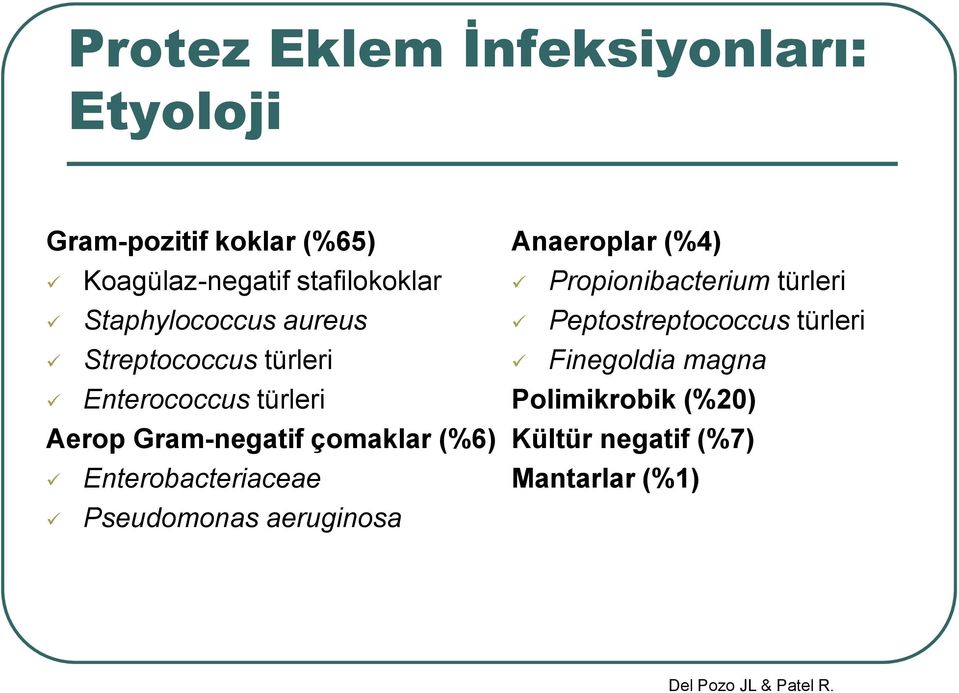 Enterobacteriaceae Pseudomonas aeruginosa Anaeroplar (%4) Propionibacterium türleri