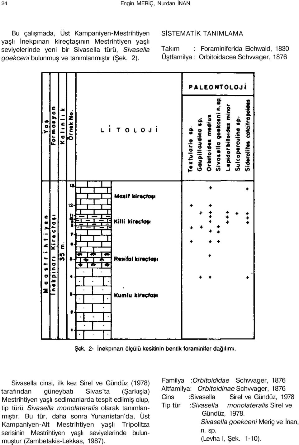 SİSTEMATİK TANIMLAMA Takım : Foraminiferida Eichwald, 1830 Üştfamilya : Orbitoidacea Schvvager, 1876 Sivasella cinsi, ilk kez Sirel ve Gündüz (1978) tarafından güneybatı Sivas'ta (Şarkışla)