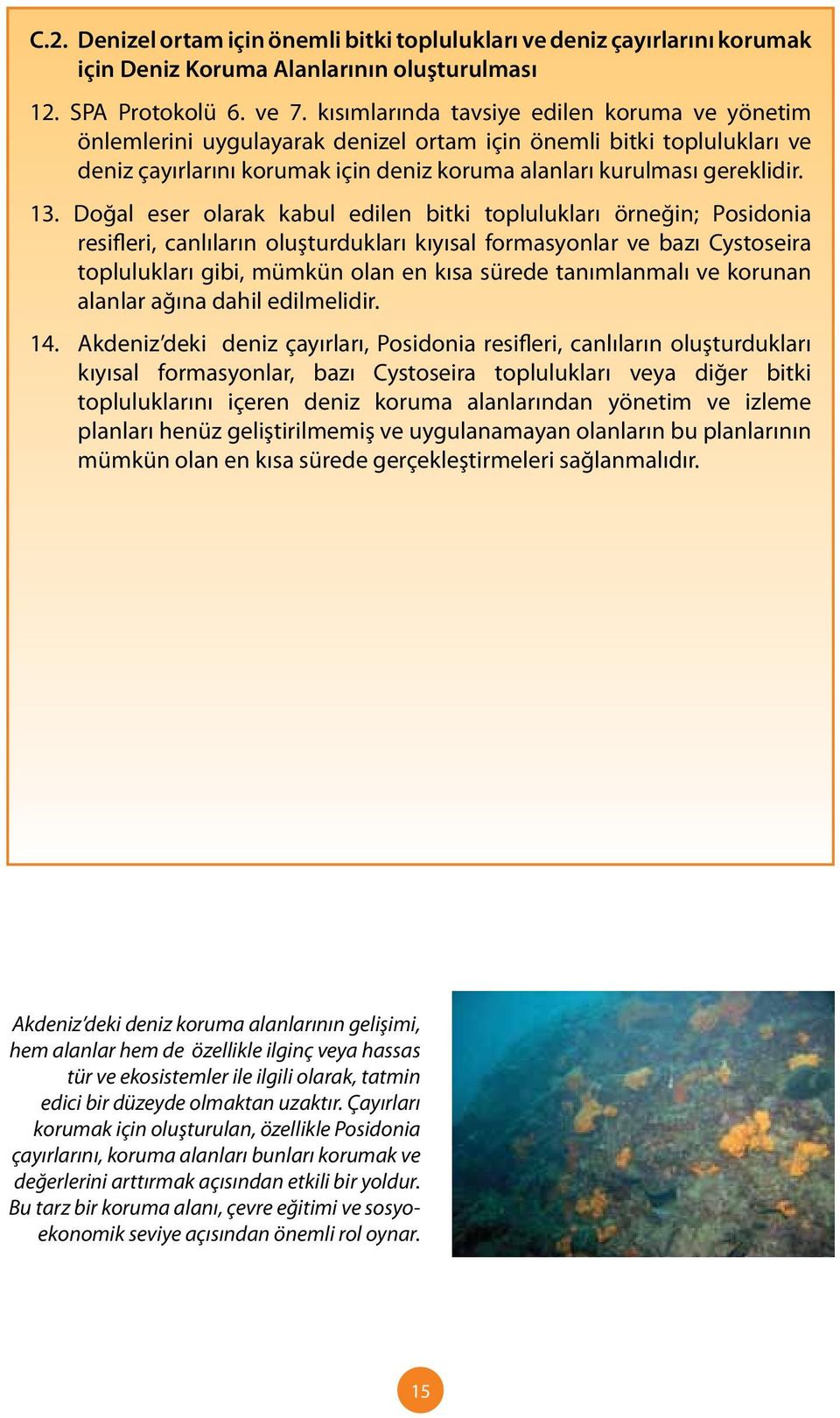 Doğal eser olarak kabul edilen bitki toplulukları örneğin; Posidonia resifleri, canlıların oluşturdukları kıyısal formasyonlar ve bazı Cystoseira toplulukları gibi, mümkün olan en kısa sürede