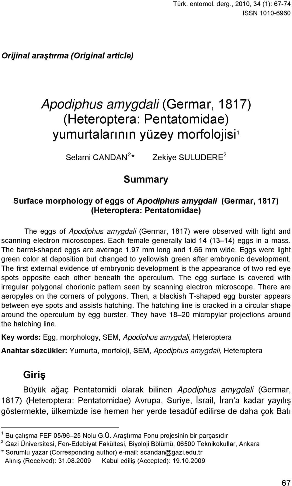 SULUDERE 2 Summary Surface morphology of eggs of Apodiphus amygdali (Germar, 1817) (Heteroptera: Pentatomidae) The eggs of Apodiphus amygdali (Germar, 1817) were observed with light and scanning