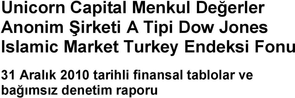 Turkey Endeksi Fonu 31 Aralık 2010