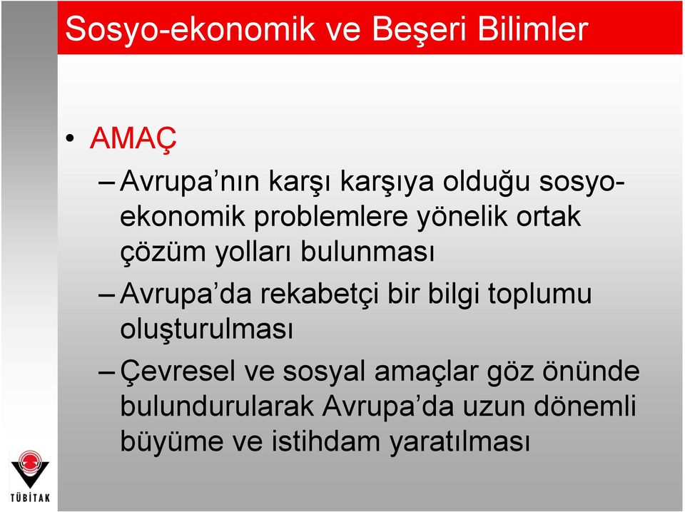 rekabetçi bir bilgi toplumu oluşturulması Çevresel ve sosyal amaçlar göz