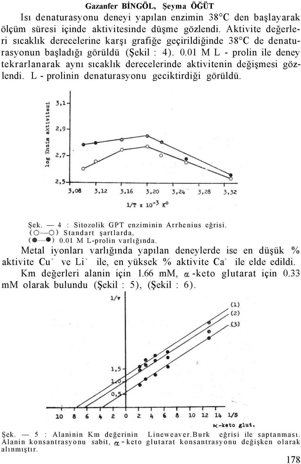 01 M L - prolin ile deney tekrarlanarak aynı sıcaklık derecelerinde aktivitenin değişmesi gözlendi. L - prolinin denaturasyonu geciktirdiği görüldü. Şek. 4 : Sitozolik GPT enziminin Arrhenius eğrisi.