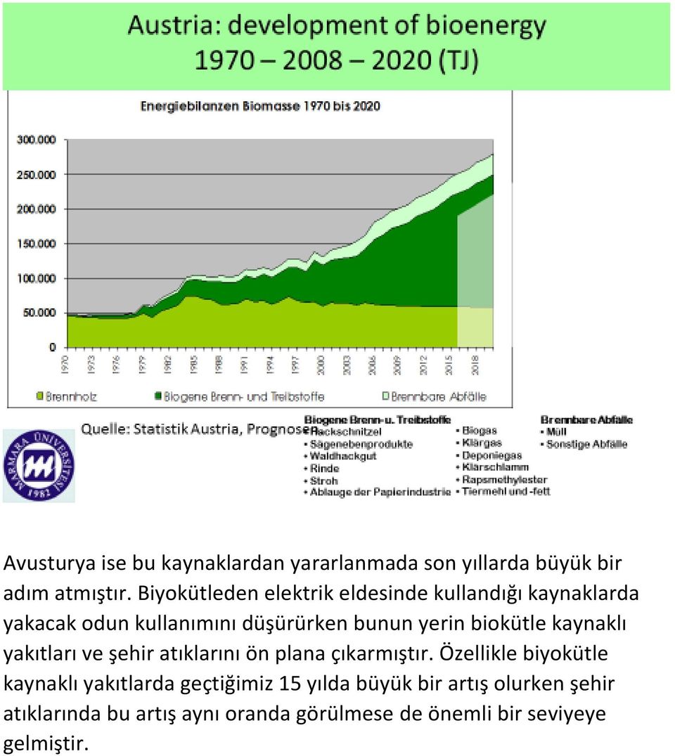 biokütle kaynaklı yakıtları ve şehir atıklarını ön plana çıkarmıştır.