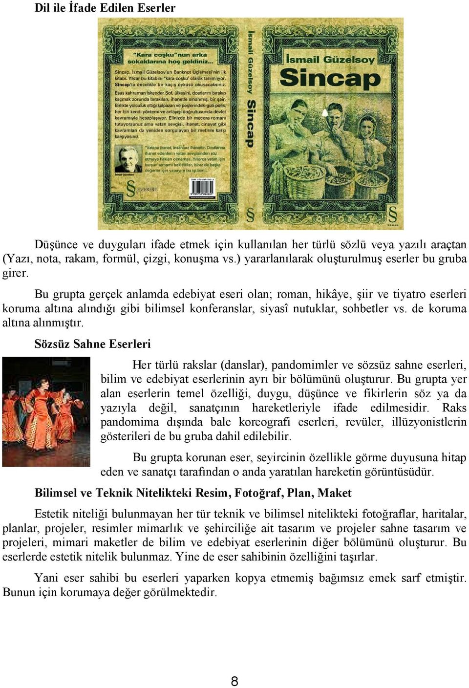 Bu grupta gerçek anlamda edebiyat eseri olan; roman, hikâye, şiir ve tiyatro eserleri koruma altına alındığı gibi bilimsel konferanslar, siyasî nutuklar, sohbetler vs. de koruma altına alınmıştır.