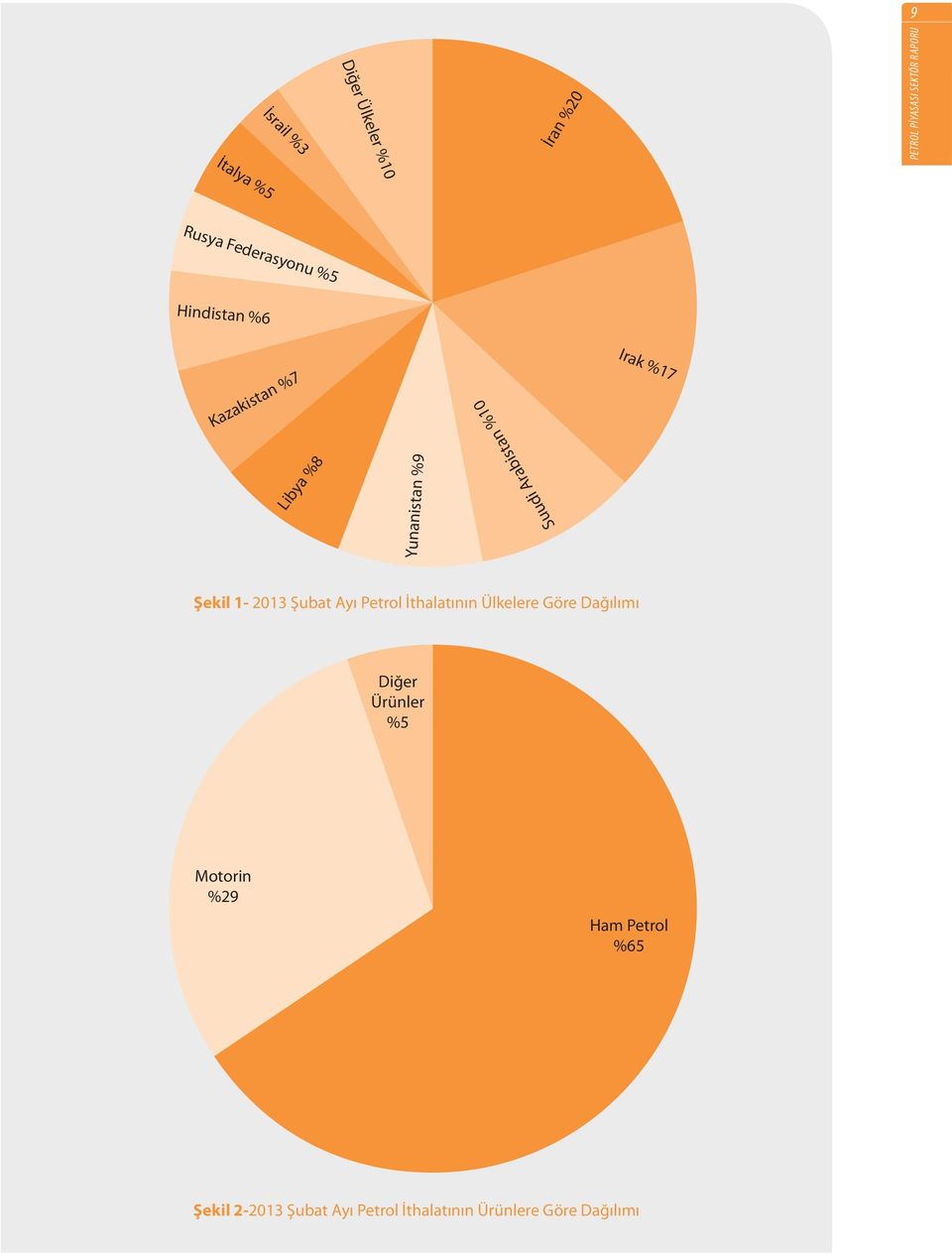 1-2013 Şubat Ayı Petrol İthalatının Ülkelere Göre Dağılımı Diğer Ürünler %5