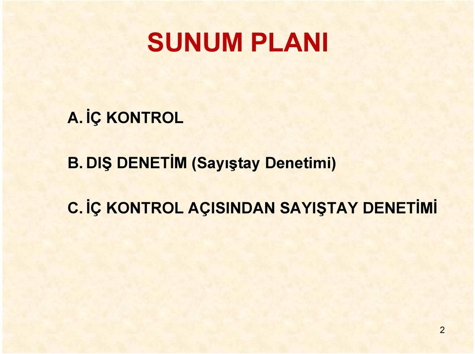 DIŞ DENETİM (Sayıştay