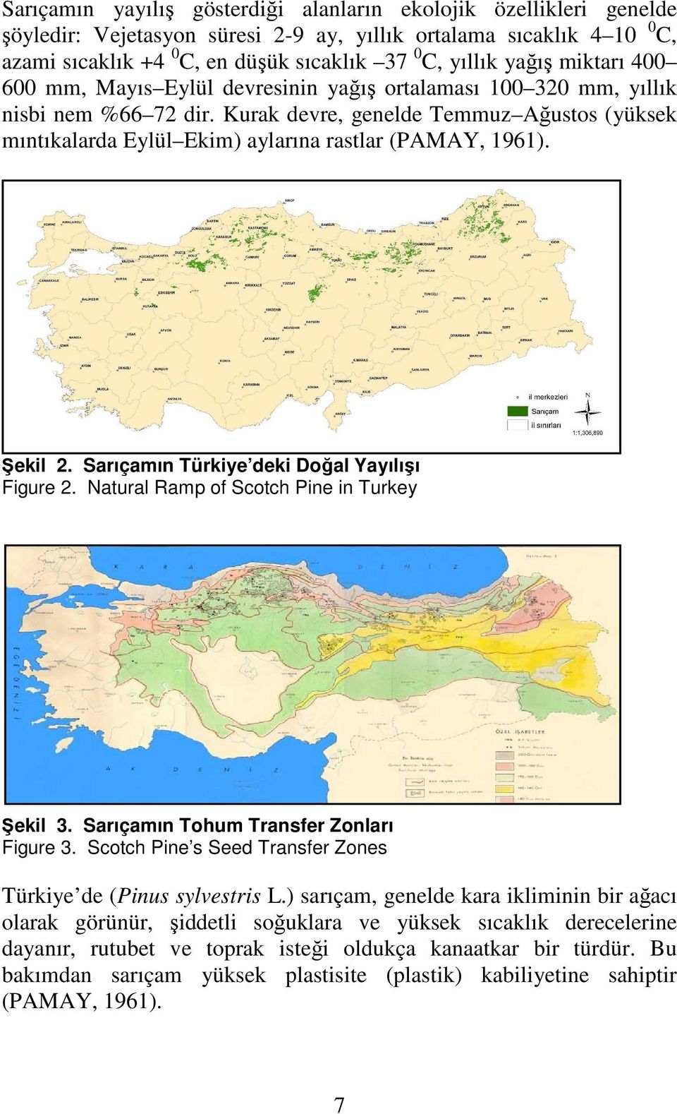 Kurak devre, genelde Temmuz Ağustos (yüksek mıntıkalarda Eylül Ekim) aylarına rastlar (PAMAY, 1961). Şekil 2. Sarıçamın Türkiye deki Doğal Yayılışı Figure 2.