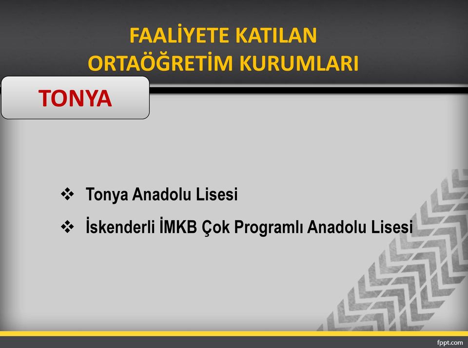 Anadolu Lisesi İskenderli