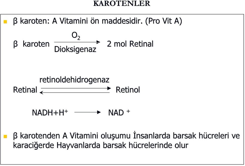 retinoldehidrogenaz Retinol NADH+H + NAD + β karotenden A Vitamini