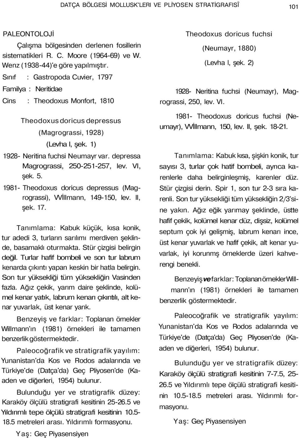 depressa Magrograssi, 250-251-257, lev. VI, şek. 5. 1981- Theodoxus doricus depressus (Magrograssi), VVİlImann, 149-150, lev. II, şek. 17.