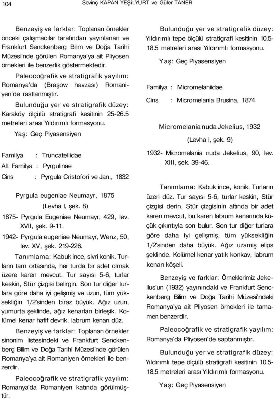 Familya : Truncatellidae Alt Familya : Pyrgulinae Cins : Pyrgula Cristofori ve Jan., 1832 Pyrgula eugeniae Neumayr, 1875 (Levha l, şek. 8) 1875- Pyrgula Eugeniae Neumayr, 429, lev. XVII, şek. 9-11.