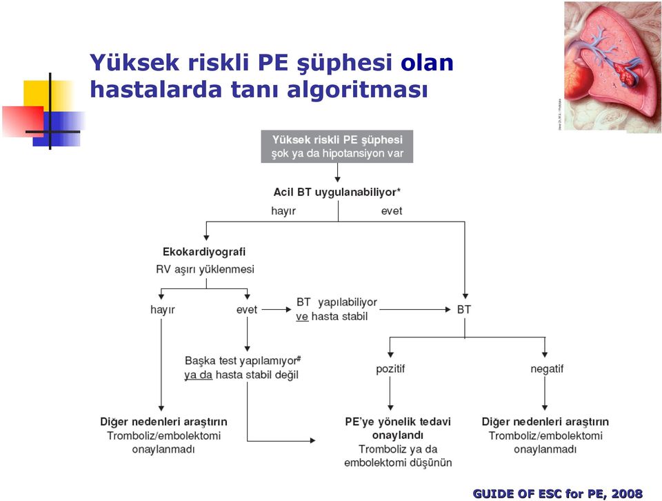 hastalarda tanı