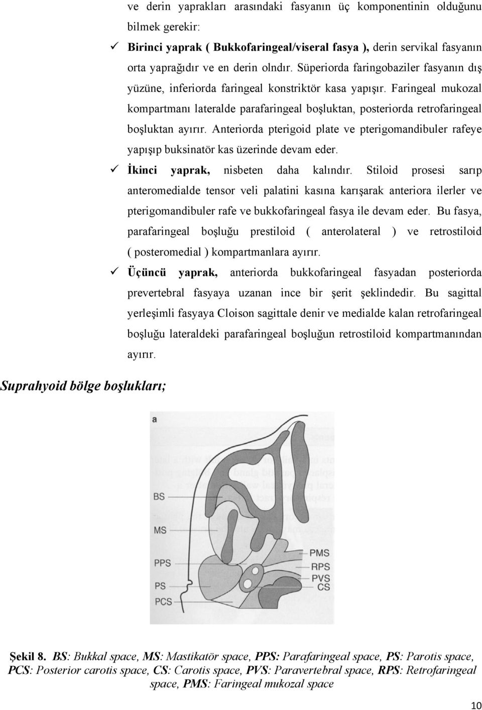 Faringeal mukozal kompartmanı lateralde parafaringeal boşluktan, posteriorda retrofaringeal boşluktan ayırır.