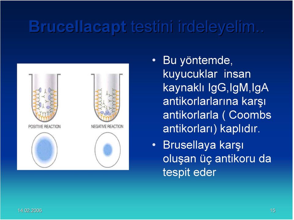 antikorlarlarına karşı antikorlarla ( Coombs